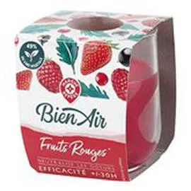 MARQUE REPÈRE, BIEN AIR Bougie Fruits rouges 30heures l'unité