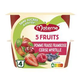 MATERNE Compotes 5 fruits rouges 4x100g