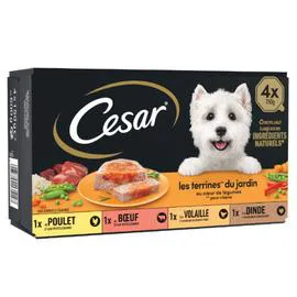 CÉSAR Pâtée pour chien assortiment 4x150g