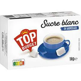 TOP BUDGET Sucre blanc en morceaux 1kg