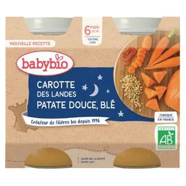 BABYBIO Petit pot bonne nuit Légumes variés blé 2x200g