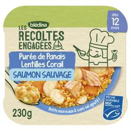 BLÉDINA, LES RECOLTES BIO Petits plats purée de panais lentilles corail saumon sauvage dès 12 mois 230g