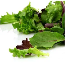 - Mélange de jeunes pousses 125g