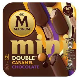 MAGNUM Mini - Glaces double caramel et chocolat 283g