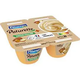 PÂTURAGES Paturette Crème dessert saveur praliné 4x115g