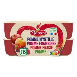 MATERNE Compote panaché 4 parfums 16x100g