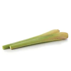 NATOORA Citronnelle x2 x2