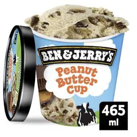 BEN & JERRY'S Glace Peanut Butter Cup 425g