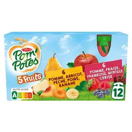 MATERNE, POM'POTES Compote pommes fruits rouges & pommes fruits jaunes SSA 12x90g