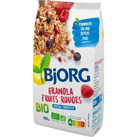 BJORG Granola fruits rouges bio 350g