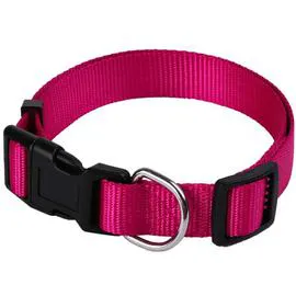 ANIMALIS Collier Basic pour Chien 25mm 44/65cm, Fushia 70g