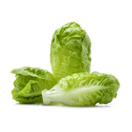  Salade Coeur de Romaine x2 x2