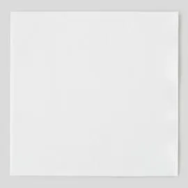 FRANÇOISE PAVIOT 20 serviettes, blanc, 40x40cm l'unité