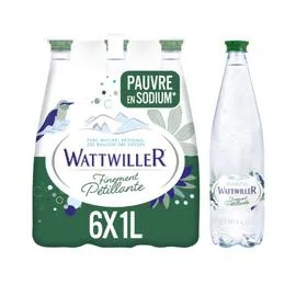 WATTWILLER Eau finement pétillante 6x1l
