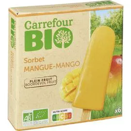 CARREFOUR BIO Glaces sorbet mangue 240g