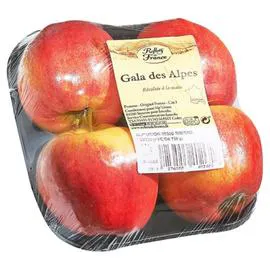 REFLETS DE FRANCE Pommes Gala Royal Gala des Alpes 750g