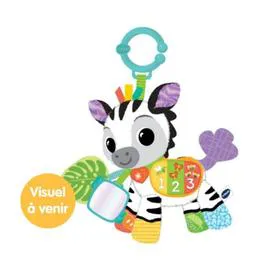 Timéo ptit zèbre d'activités (l'unité)