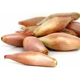 REFLETS DE FRANCE Echalotes de Bretagne agroécologie 250g