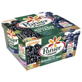 YOPLAIT, PANIER DE YOPLAIT Yaourt mûre, myrtille aux morceaux de fruits 4x125g