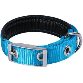 ANIMALIS Collier Basic Confort pour Chien 20mm-45cm, Bleu l'unité