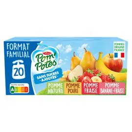 MATERNE, POM'POTES Compote multifruits sans sucres ajoutés 20x90g