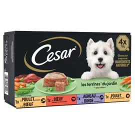 CÉSAR Pâtée pour chien assortiment 4x150g