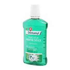 MARQUE REPÈRE, DENTAMYL Bain de bouche Fraîcheur menthe 500ml