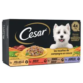 CÉSAR Pâtée pour chien mini filets en sauce 4x150g