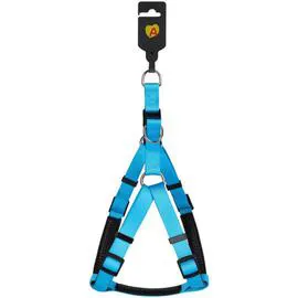 ANIMALIS Harnais Basic Confort T1 pour Chien 15mm 45/57cm Bleu 80g