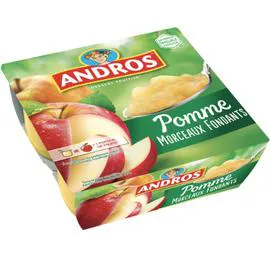 ANDROS Dessert fruitier pomme avec morceaux 4x100g