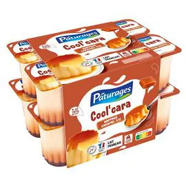 PÂTURAGES Dessert lacté nappage caramel 12x100g