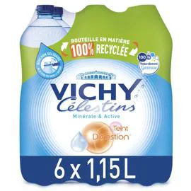 VICHY CÉLESTINS Eau gazeuse minérale naturelle 6x1,15l