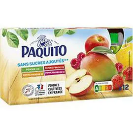 PAQUITO Assortiment de spécialités de fruits sans sucres ajoutés 12x90g