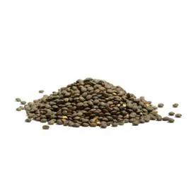  Lentille verte Bio 500g