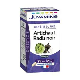 Gélules digestion (x50)