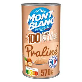 MONT BLANC Crème dessert praliné 570g
