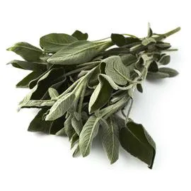 NATOORA Botte de Sauge 40g
