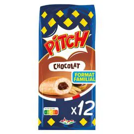 BRIOCHE PASQUIER, PITCH Brioche chocolat 450g