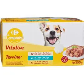 CARREFOUR COMPANINO Pâtée pour chien assortiment de terrines 6x300g