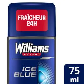 WILLIAMS Déodorant Stick anti traces blanches 75ml