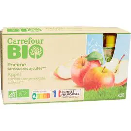 CARREFOUR BIO Compote bio pomme sans sucres ajoutés 12x90g