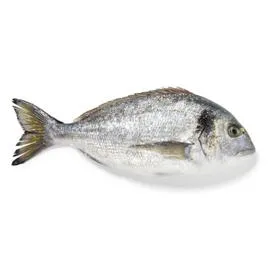 Daurade royale 350g