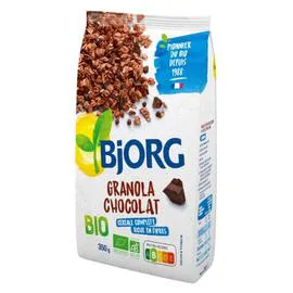 BJORG Céréales granola chocolat Bio 350g