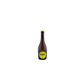 BRASSERIE RABOURDIN Bière Briarde blonde 33cl