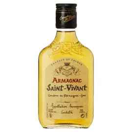 SAINT VIVANT Blister Armagnac 40° 20cl