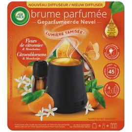 AIRWICK Diffuseur désodorisant Huiles Essentielles Brume Parfumée Citronnier l'unité