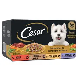 CÉSAR Pâtée pour chien mini filets en sauce 8x150g