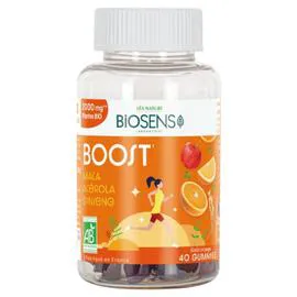 LÉA NATURE, BIOSENS Complément Alimentaire Booster Energie à l'Orange x40
