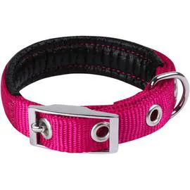 ANIMALIS Collier Basic Confort pour Chien 25mm - 55cm, Fuschia 100g