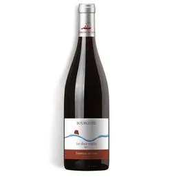 COMPLICES DE LOIRE Bourgueil AOP, rouge 750ml